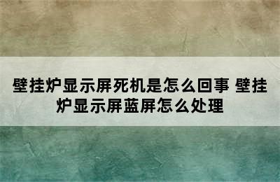 壁挂炉显示屏死机是怎么回事 壁挂炉显示屏蓝屏怎么处理